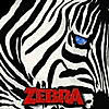 CD-Zebra
