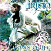 CD-Iridio