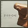 CD-Fission
