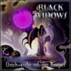 CD Black Widows